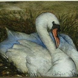 Art: Swan by Artist Deborah Leger