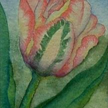 Art: Tulip by Artist Deborah Leger
