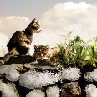 Art: Sunning Cats by Artist Carolyn Schiffhouer