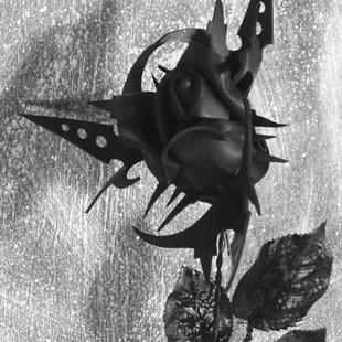 Art: Biohazard Rose by Artist Barbara Doherty (MidnightZodiac Leather)