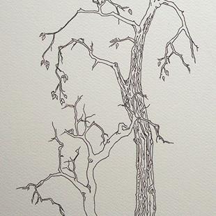Art: tree study #2 by Artist Angie Reed Garner