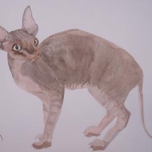 Art: SPHYNX CAT C999 by Artist Dawn Barker