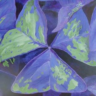 Art: Oxalis by Artist Donna Gill 