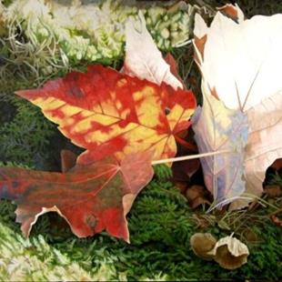 Art: Red Leaves and Moss - Oil Painting by Artist Harlan