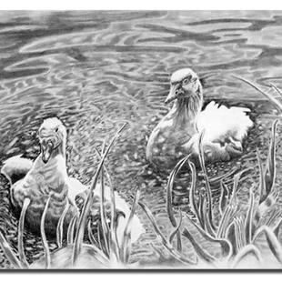 Art: Ducks by Artist Naquaiya