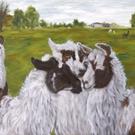 Art: Llama Gossip - the llamas of Cozy Cove Farm by Artist Tracey Allyn Greene