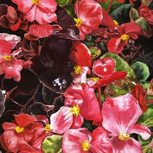 Art: Begonias by Artist Mark Satchwill