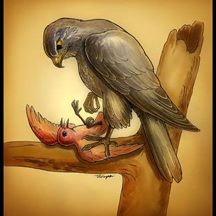 Art: The Hawk and the Nightingale by Artist John Thompson