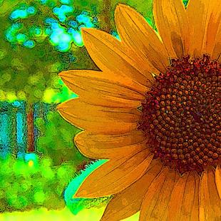 Art: Backyard Sunflower 3 by Artist Joan Hall Johnston