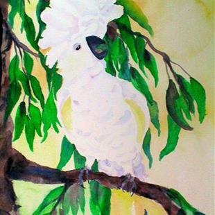 Art: I'm So Pretty - Umbrella Cockatoo by Artist Susie Barstow