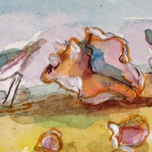 Art: Conch and Sanderlings by Artist Delilah Smith