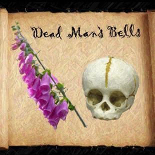 Art: Dead Man's Bells by Artist Carissa M Martos