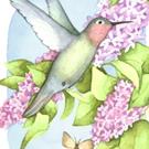 Art: Hummingbird and Lilacs ACEO by Artist Carmen Medlin