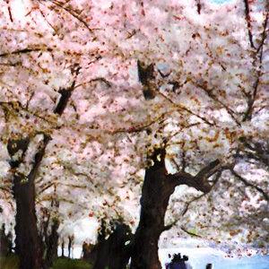 Art: Stroll Along The Cherry Blossoms by Artist Anthony Allegro