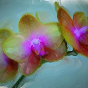 Art: Orchid Play 2 by Artist Carolyn Schiffhouer