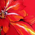 Art: RED AMARYLLIS ABSTRACT by Artist Marcia Baldwin
