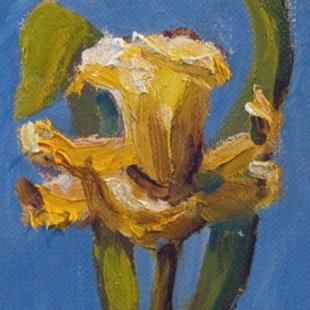Art: Daffodil Aceo by Artist Delilah Smith