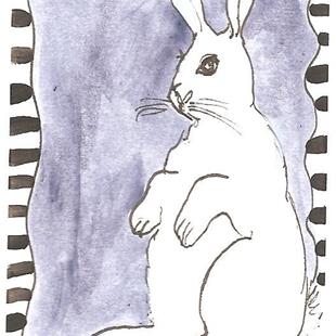 Art: White Rabbit Poses by Artist Nancy Denommee   