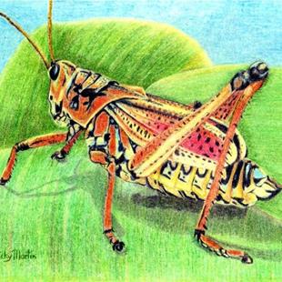 Art: Grasshopper by Artist Ulrike 'Ricky' Martin