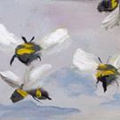 Art: Bees Aceo by Artist Delilah Smith