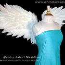 Art: eProductSales Meridian Feather Angel Wings by Artist Rose LaFleur