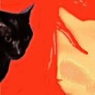 Art: Knodl's Aura     Photo of my cat with digi background by Artist Ruth Edward Anderson