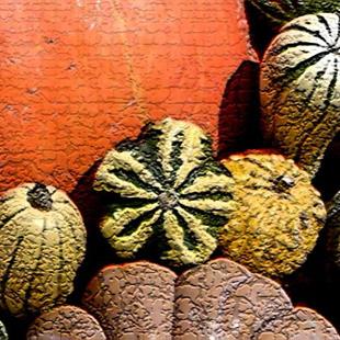Art: Crackle Gourds by Artist Windi Rosson
