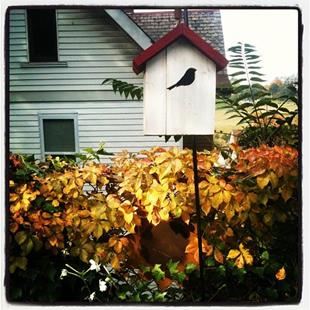 Art: Put a Little Birdhouse in Your Soul by Artist Amie R Gillingham