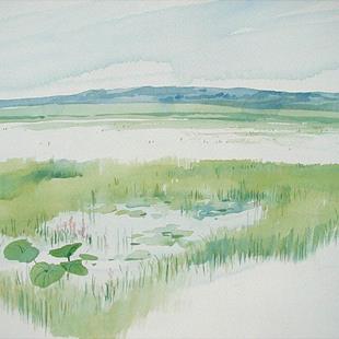 Art: Cooley Lake by Artist Cathy  (Kate) Johnson