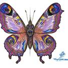 Art: butterfly5 by Artist William Powell Brukner