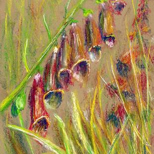 Art: Foxgloves (9) by Artist John Wright
