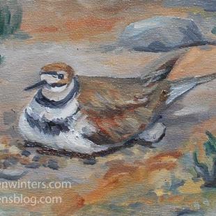 Art: Kildeer bird oil painting plein air by Artist Karen Winters