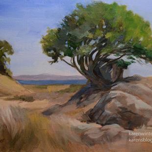 Art: Clinging to the Rock, China Camp State Park oil painting by Artist Karen Winters