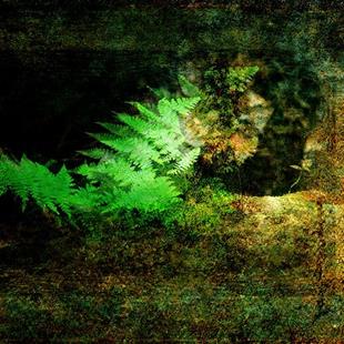 Art: Ferns in Light by Artist Carolyn Schiffhouer