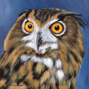 Art: Owl by Artist Janet M Graham