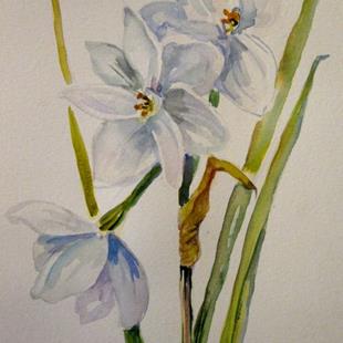 Art: Paper White Narcissus by Artist Delilah Smith