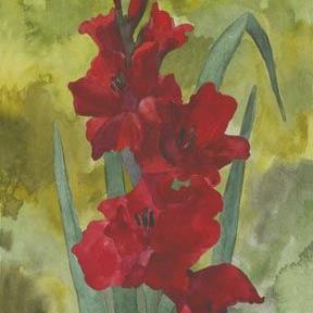 Art: Deep Red Gladiolus by Artist Carol Thompson