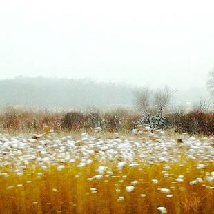 Art: winter prairie lr lrg .jpg by Artist Alma Lee