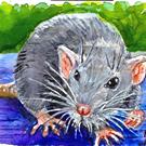 Art: Rat  (SOLD) by Artist Laura Ross