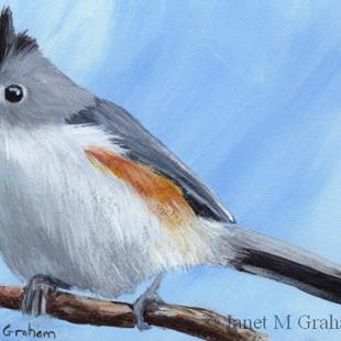 Art: Black Crested Titmouse ACEO by Artist Janet M Graham