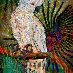 Art: Luminous Pearl Fratalized Cockatiel by Artist Alma Lee