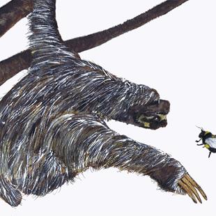 Art: THE SLOTH & THE BUMBLE BEE sloth3 by Artist Dawn Barker