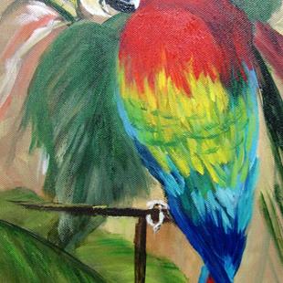 Art: Red Macaw Parrot by Artist Barbara Haviland