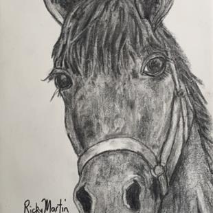 Art: Horse Portrait by Artist Ulrike 'Ricky' Martin