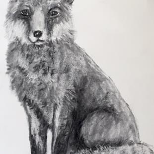 Art: Fox drawing by Artist Ulrike 'Ricky' Martin