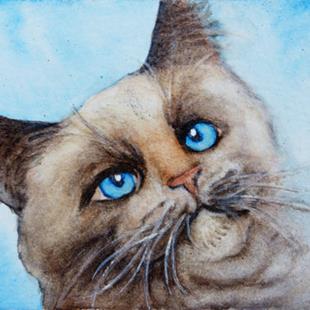 Art: Cat Portrait  (SOLD) by Artist Monique Morin Matson