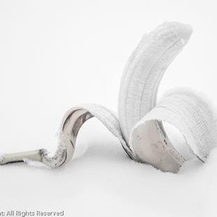 Art: Snow Banana 10.5 x 13.5  (01/05) by Artist Todd Suttles
