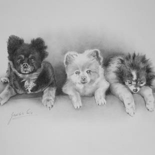 Art: Three Dogs by Artist Ewa Kienko Gawlik