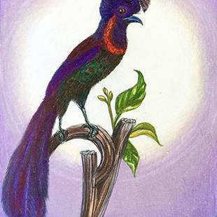 Art: Bird of Paradise 2 by Artist Alma Lee