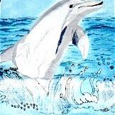 Art: dolphinshirt by Artist Rossi Kelton
